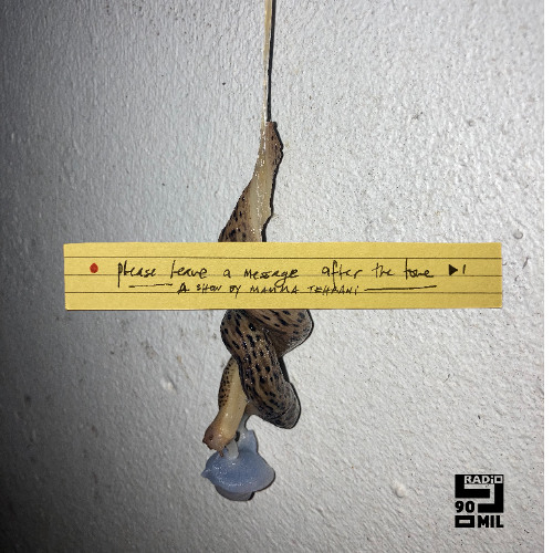 Please Leave a Message After the Tone – 11 Jan 2025