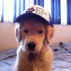 chest pain (i love) - malcolm todd (cover by vynne)