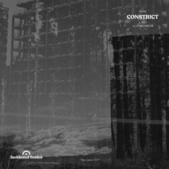 Lost In Ether | P R E M I E R E | Constrict - ISO [Incidental Sonics]