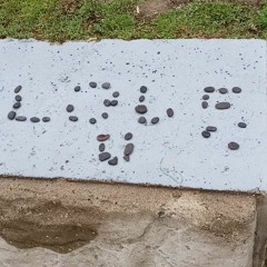 DONT WAIT