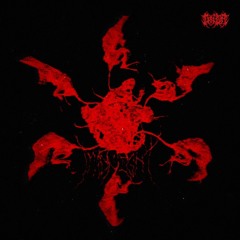 MIDNIGHT - SVDDEN DEATH x PEELINGFLESH x NIMDA x YVM3 (DRAUGA EDIT)