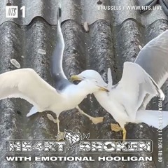 NTS MIX 110621 - HE4RTBROKEN w/ EMOTIONAL HOOLIGAN