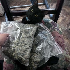 ROSTRO (prod. Matte?)