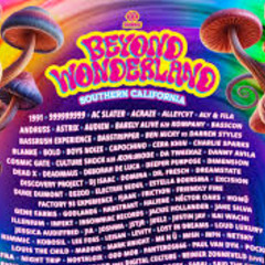 Sidetracked - Beyond Wonderland Pre-Game