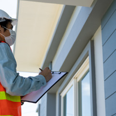 Real-life Consequences of Negating Pre-purchase Pest Inspection