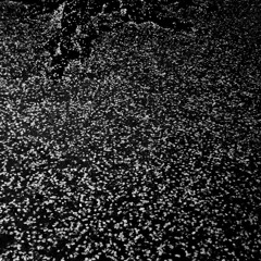 Corridor of the Void (Demo)