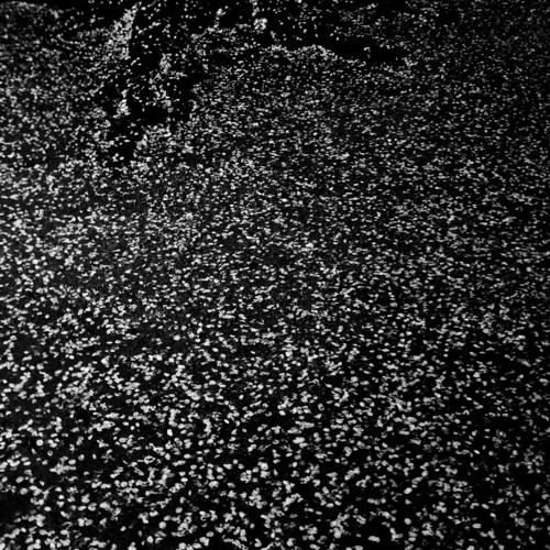 Corridor of the Void (Demo)