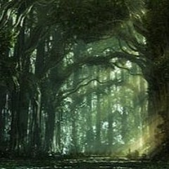 Danjuna Deep Woods #32 Progressive Organic House