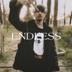 Raul Ws  Endless