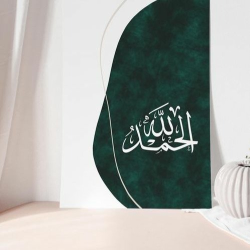 -إن مسنا الضر- من قصيدة القاضي محمد بن علي بن عمر- أداء الشيخ حسن صالح