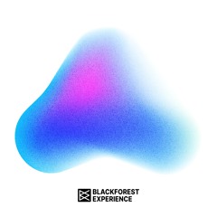Black Forest Experience - In the Mix w/ Tim Peters - 19.09.25