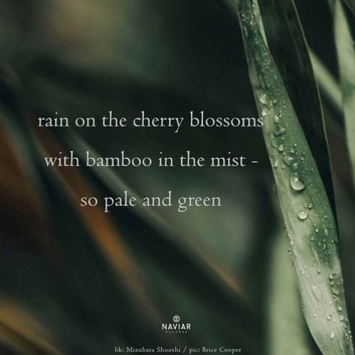 Pale and Green - (naviarhaiku543)