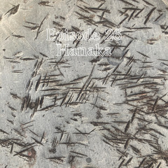 Hidden Rhythms 26 - Hanaka