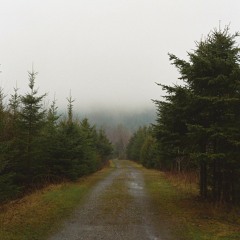 BAILE - Knows No End feat. Haulm