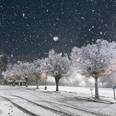 Whiter Shade of Pale CK