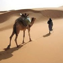 هذا الذي تعرف البطحاء وطأته