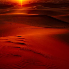 shines above the sand