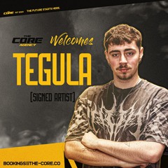 THECORE PROMO MIX - TEGULA