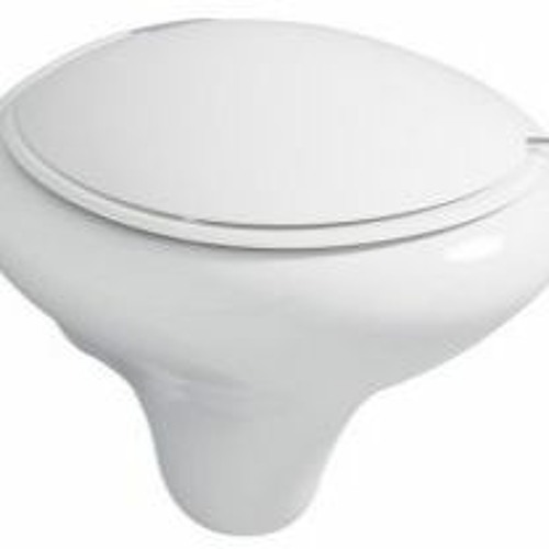 Stream episode Few Reasons To Have Vitra Toilet Seat For Your Toilet by
