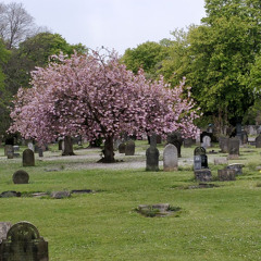 actually pretty nice chill song (2024)