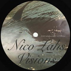 DSR030 / Nico Lahs - Visions