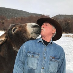 Jim Duke - Jackrabbits and Old Wood