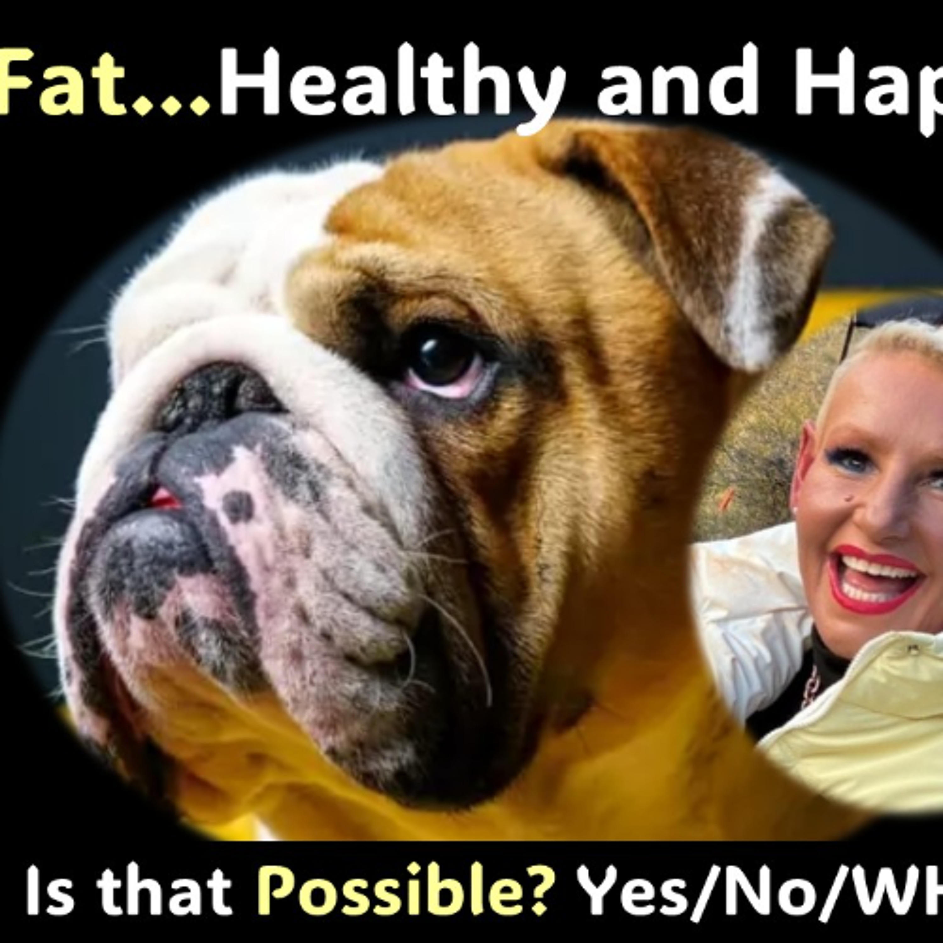Fat and Healthy - Possible episode artwork