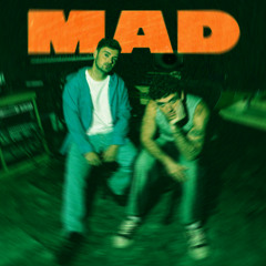 MARTIN GARRIX ft. LAUV - MAD (SLIMER EDIT)