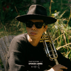 Spencer Ludwig - Silent Reeds