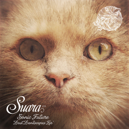 Stabs (Original Mix)