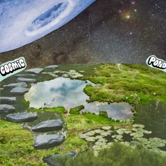 Cosmic Pond