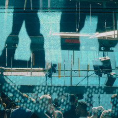 Dino at Schwing und Stampf Festival 2025