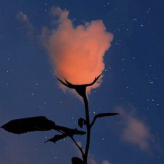 LOVE SONG x Kaash paige (cover)