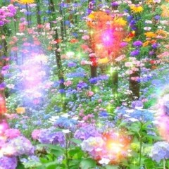 fireflies