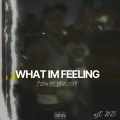 whatimfeeling (feat. YPC Jett)