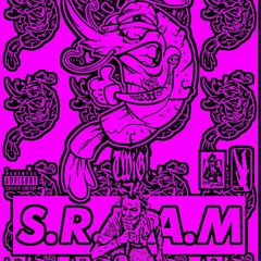 S.R.E.A.M (PROD.TOUR)