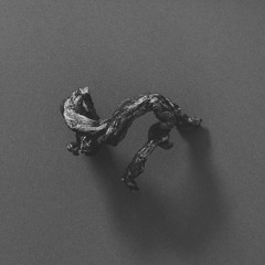 The Second Chamber by Richard Skelton (Excerpts)