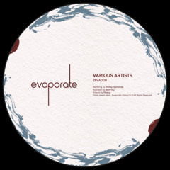 PREMIERE: Raffy Peyré - Au Port [ZFVA008​​​]