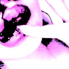 nohumen