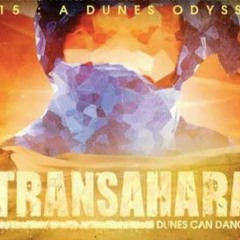 Ewan-A ∿ Glowing Dunes - A Transahara Retrospect 2015, Morocco