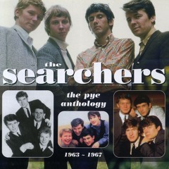 Have You Ever Loved Somebody