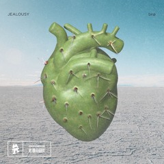 birø - Jealousy