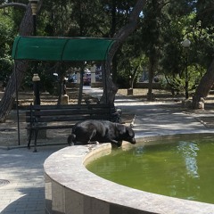 Легенды-шедевры