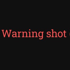 303BDD - warning shot (diss)