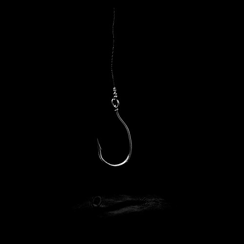 Cognitoni - Bait