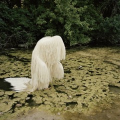 just a body and a brain