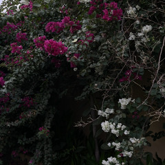 إنت الهوى وإنت الهنا وأغلى البشر 💙.