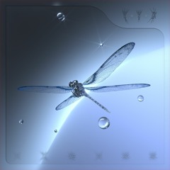 wrapping around your insides