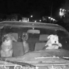 THEY LIKE PABLOOO