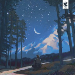 Sleep lofi